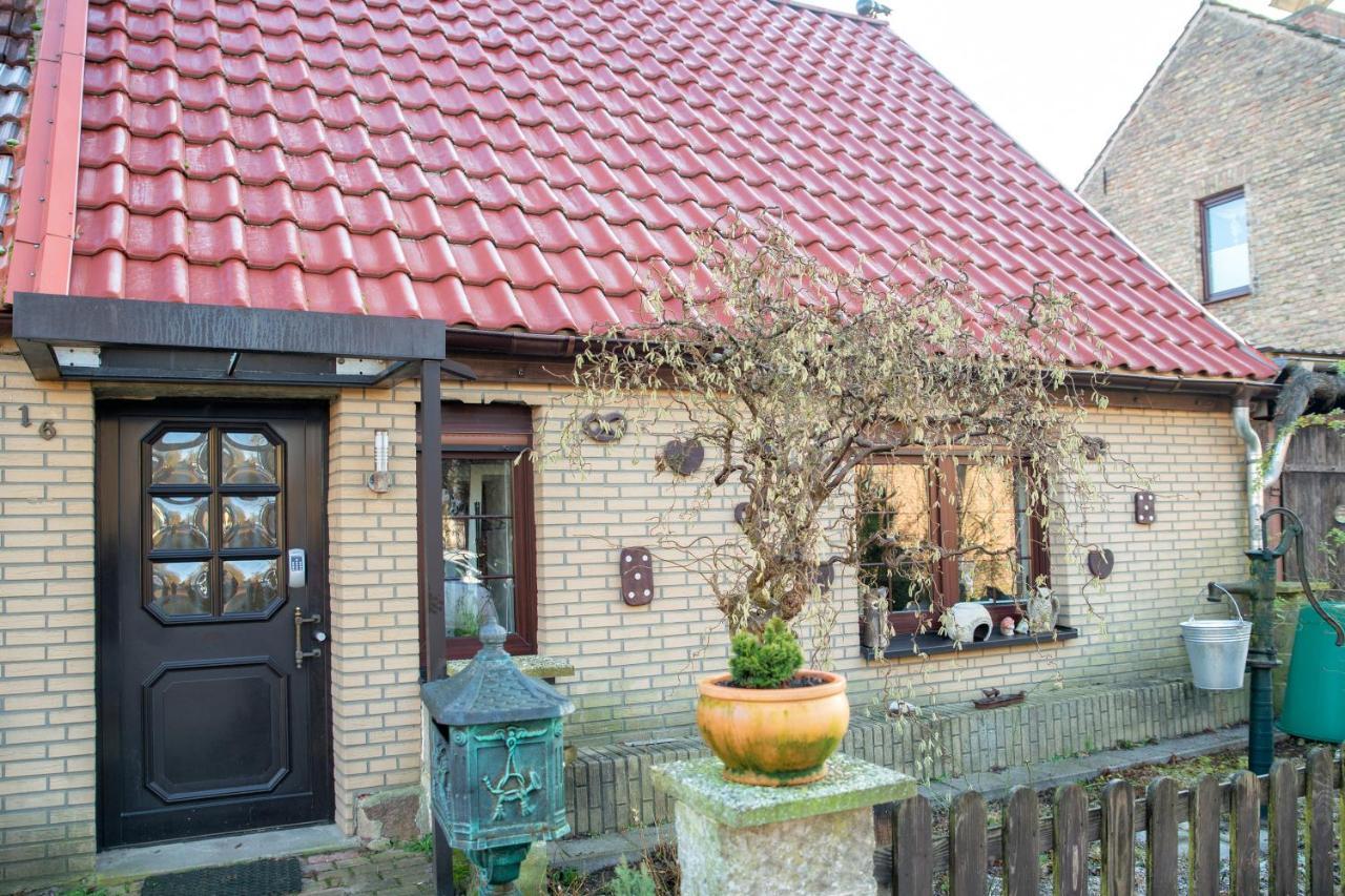 Ferienhaus Am Reiterhof 템플린 외부 사진